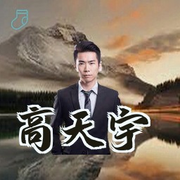 高天宇